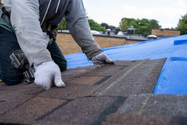 Best Roof Gutter Cleaning  in Lyles, TN