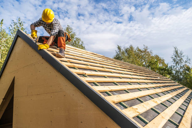 Best Metal Roofing Contractor  in Lyles, TN