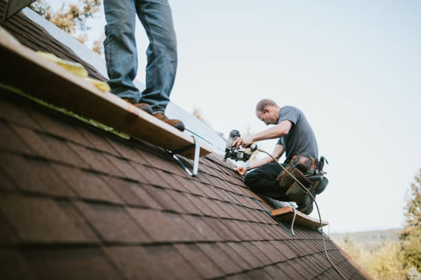 Best Emergency Roof Repair  in Lyles, TN